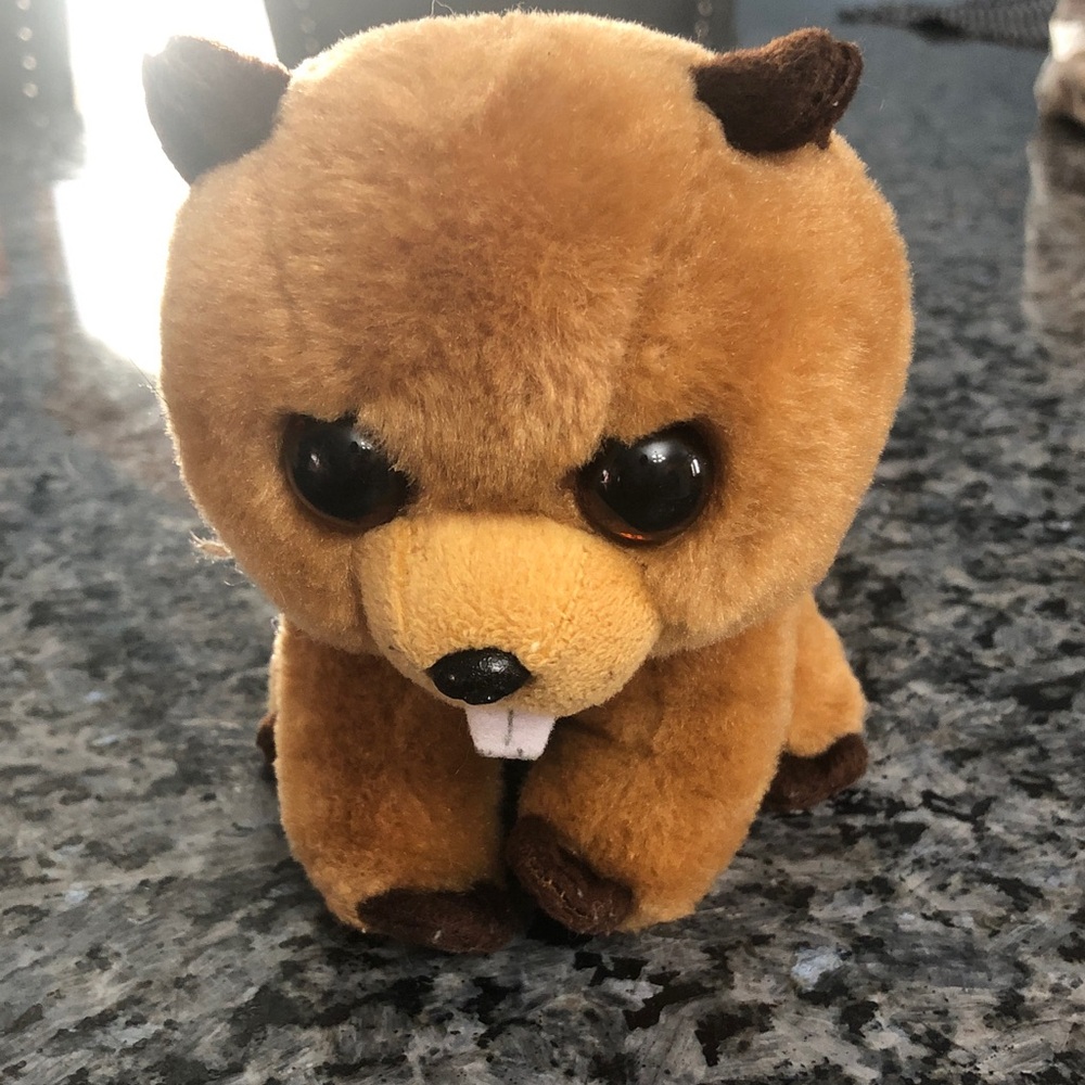 Ty Richie the Beaver 2017